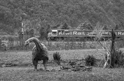 Moa surprised by passing train, Otira, 2027