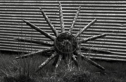 Cart wheel and corrugated iron, west coast of North Island