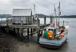 The 'Gay Dolphin' at Coromandel wharf, 2016